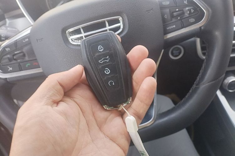 GEELY Coolray 2020 image de voiture #9