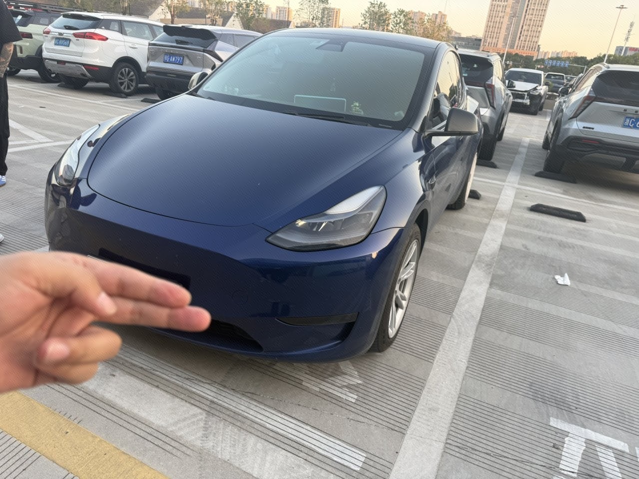 Tesla Model Y 2021 Tesla Model Y 2021 car image