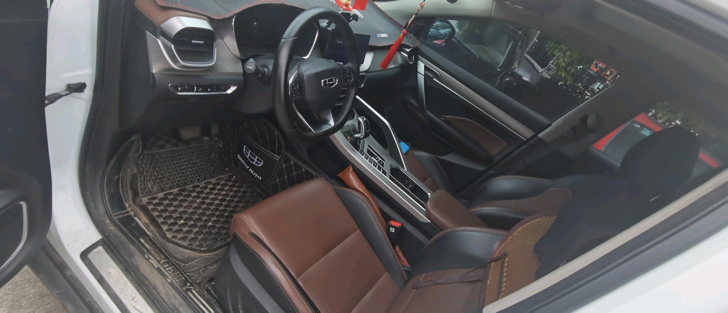 GEELY Coolray 2020 imagen de coche #4