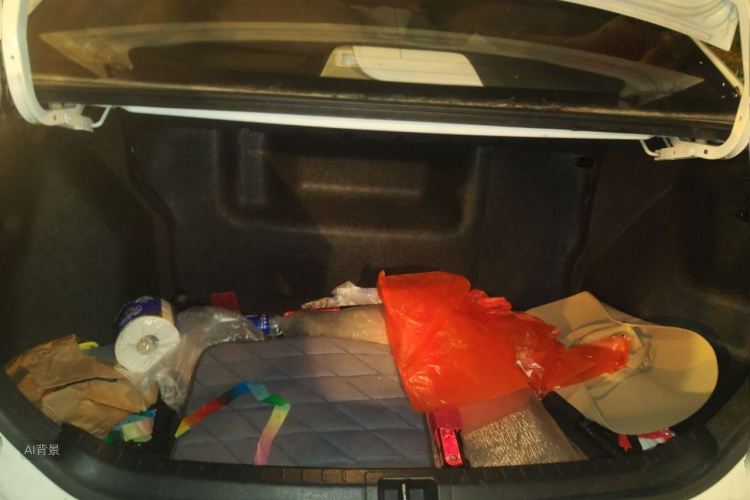Toyota Corolla 2016 car image #21