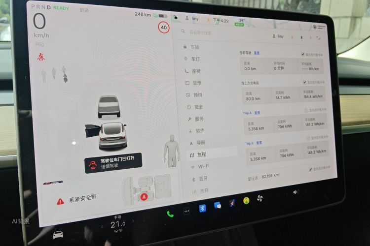 Tesla Model 3 2021 car image #13