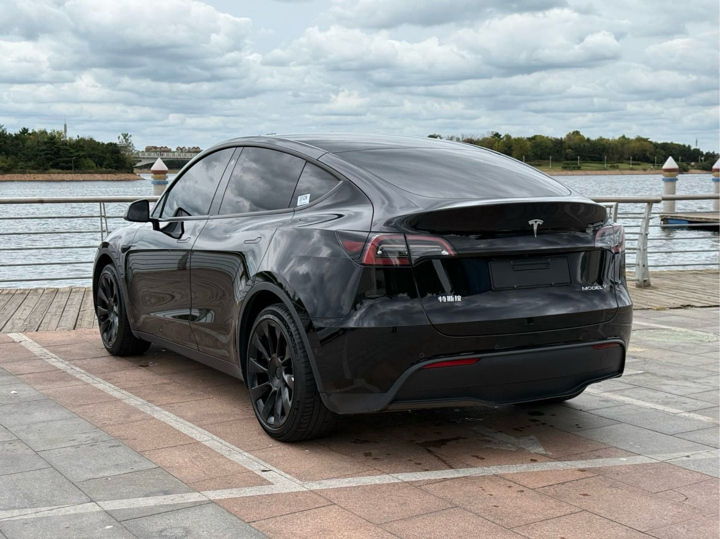 Tesla Model Y 2022 #12 Tesla Model Y 2022 car image #12
