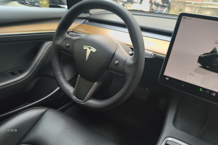 Tesla Model 3 2022 #12 Tesla Model 3 2022 صورة سيارة #12