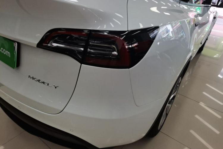 Tesla Model Y 2021 car image #8
