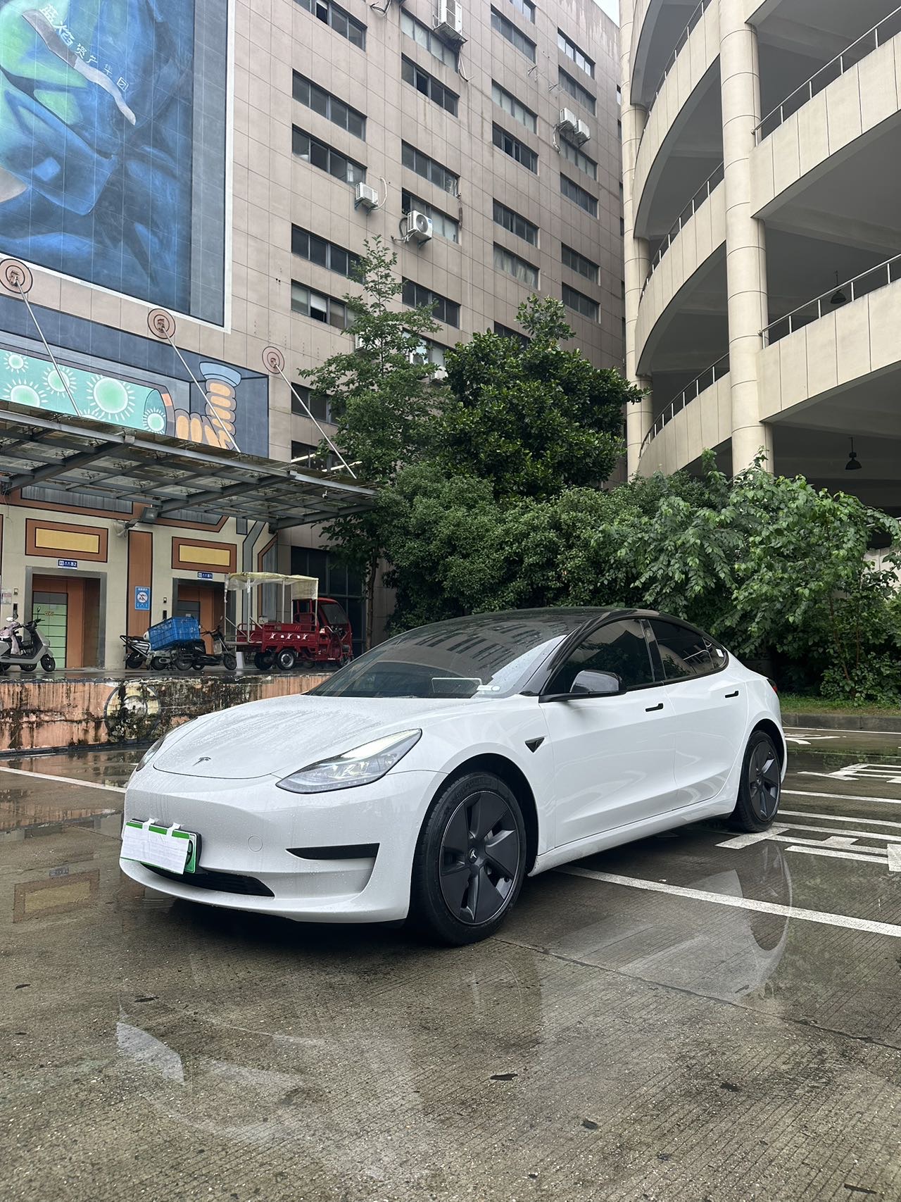 Tesla Model 3 2023 car image 