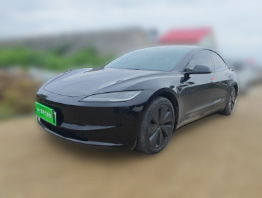 Tesla Model 3 2023 Tesla Model 3 2023 car image