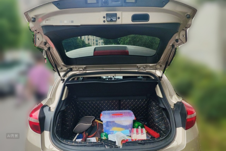 GEELY Emgrand GS 2016 car image #21