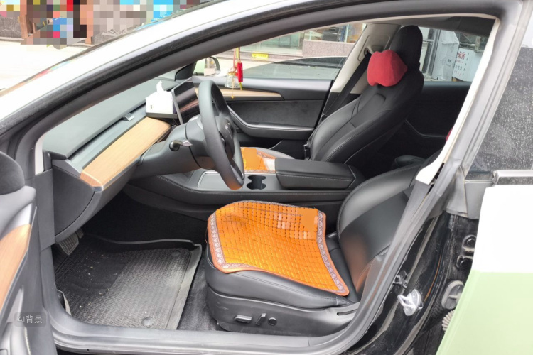 Tesla Model 3 2021 car image #17