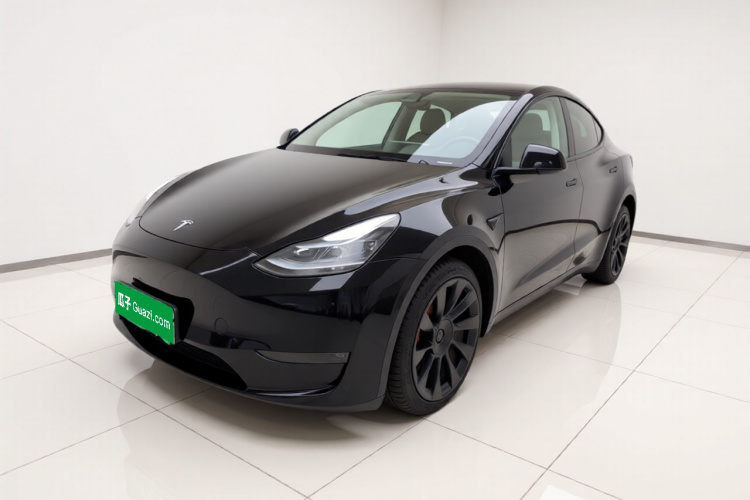 Tesla Model Y 2021 #2 Tesla Model Y 2021 car image #2