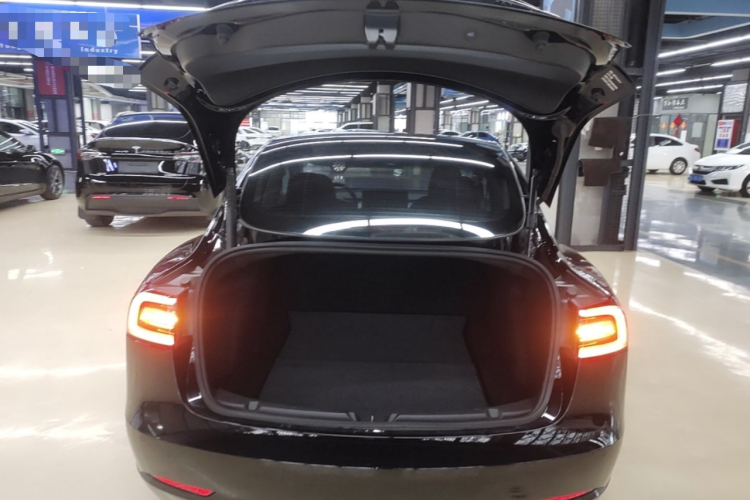 Tesla Model 3 2021 #19 Tesla Model 3 2021 car image #19