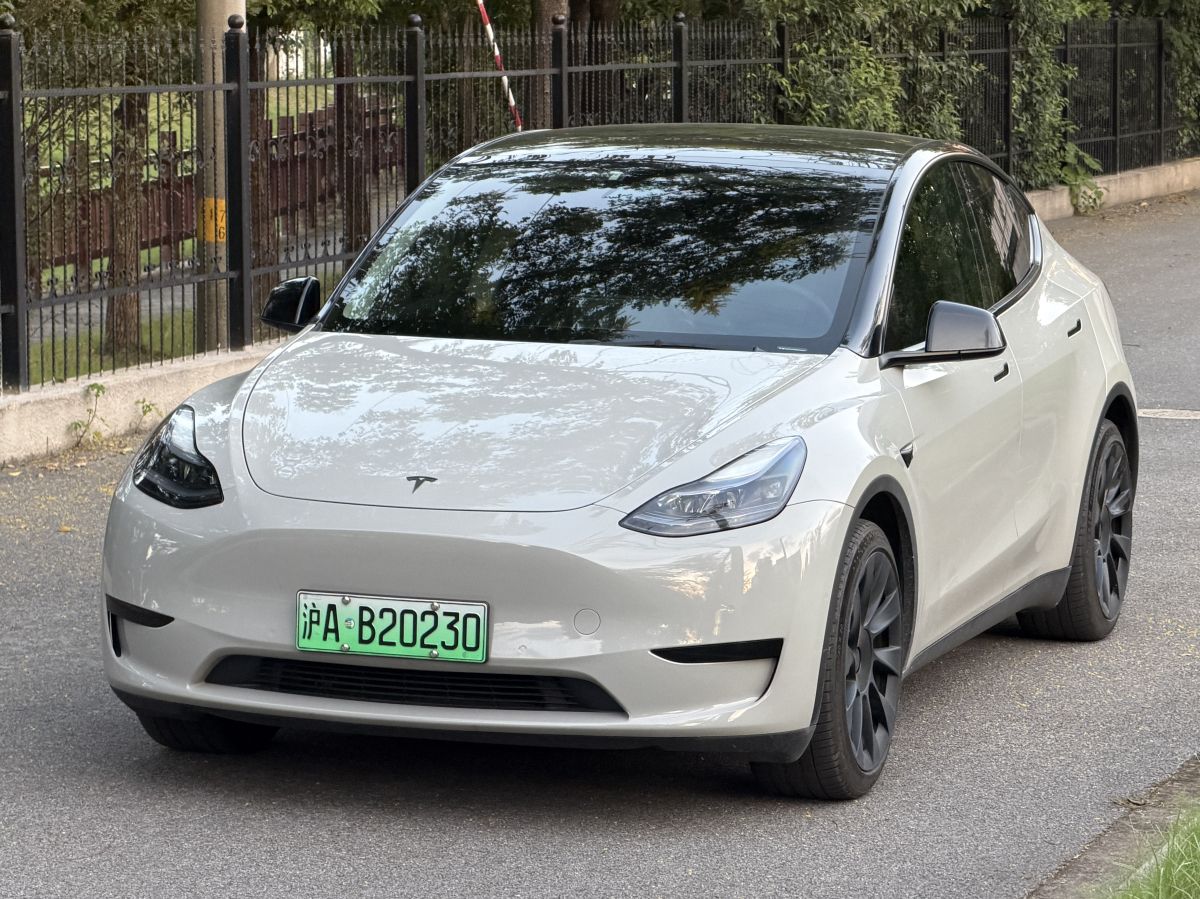 Tesla Model Y 2022 Tesla Model Y 2022 car image