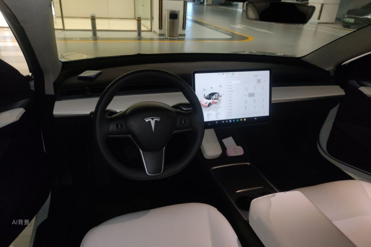 Tesla Model 3 2023 car image #11
