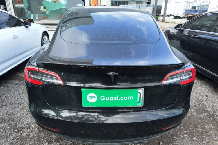 Tesla Model 3 2020 car image #6