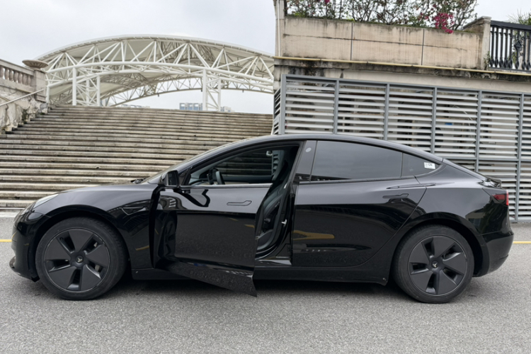Tesla Model 3 2021 #11 Tesla Model 3 2021 immagine di auto #11