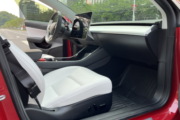 Tesla Model 3 2020 car image #24