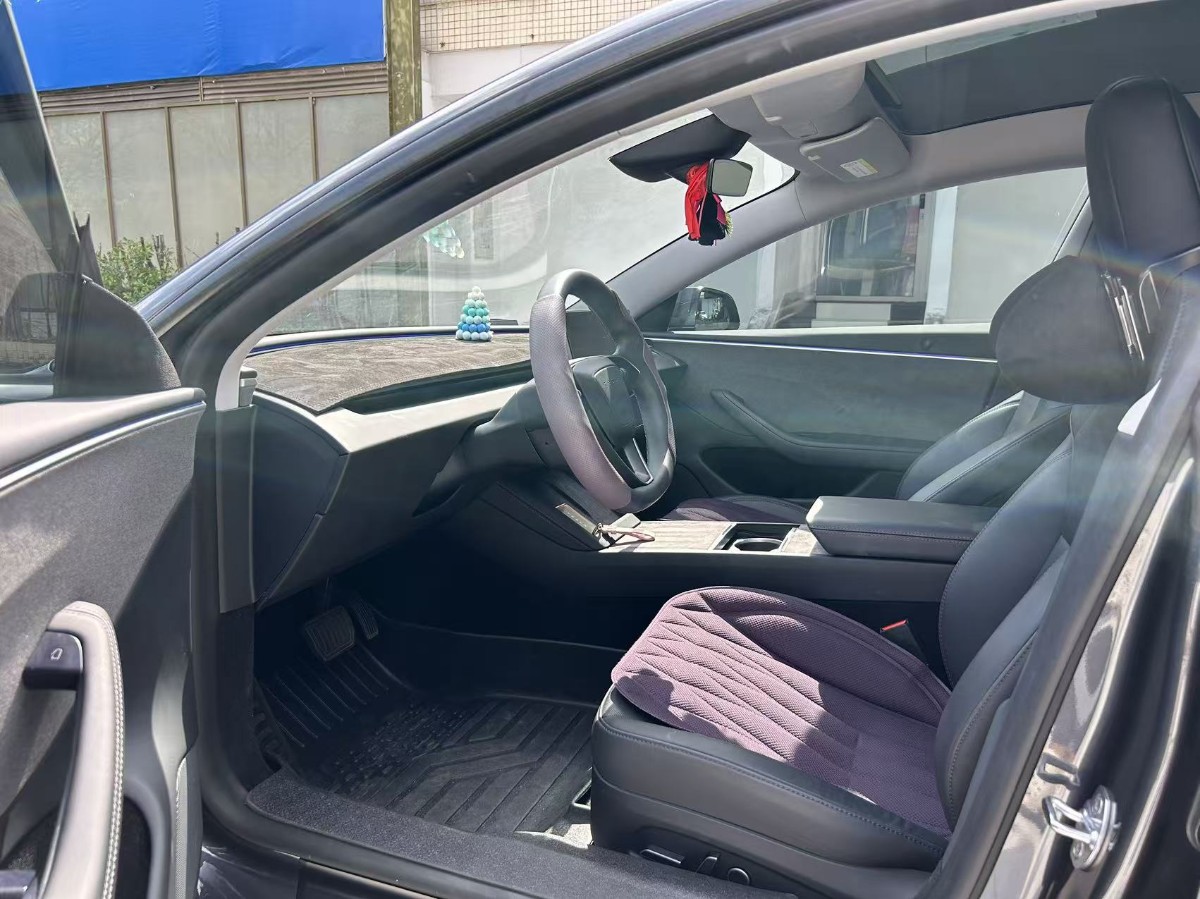 Tesla Model 3 2025 #4 Tesla Model 3 2025 car image #4