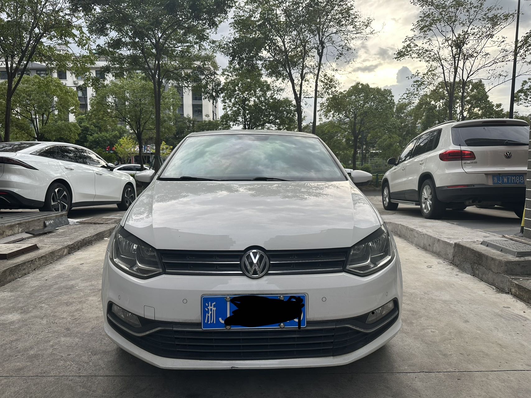 Volkswagen Polo 2016 Volkswagen Polo 2016 car image