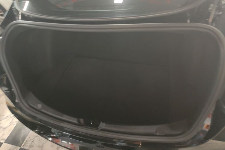 Tesla Model 3 2020 car image #19