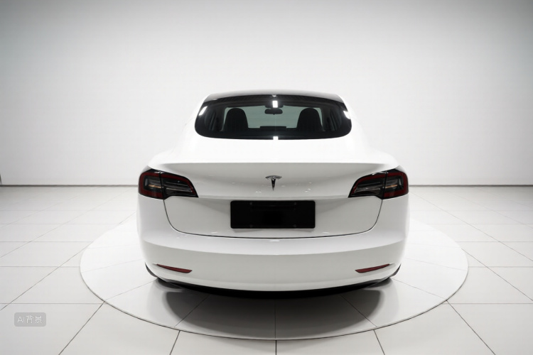 Tesla Model 3 2020 car image #6
