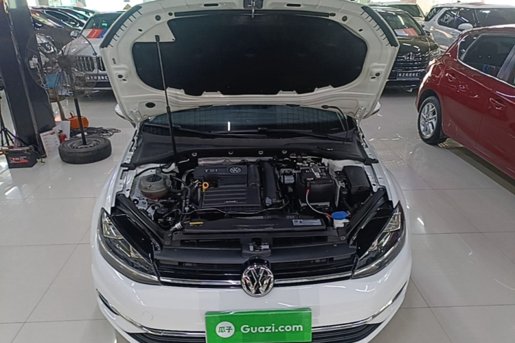 Volkswagen Golf 2019 #20 Volkswagen Golf 2019 car image #20