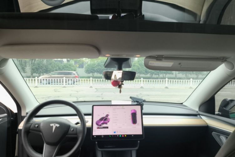 Tesla Model Y 2021 car image #19