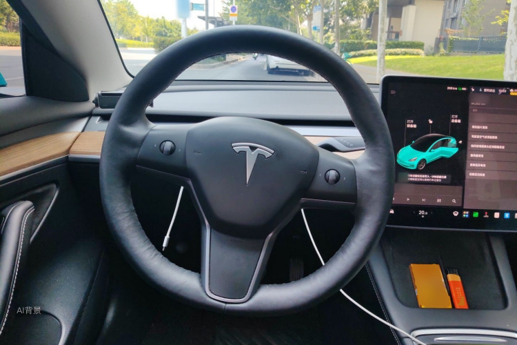 Tesla Model 3 2021 car image #12