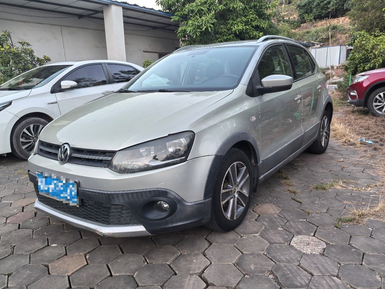 Volkswagen Polo 2013 car image 