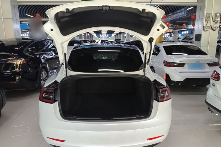 Tesla Model 3 2020 #19 Tesla Model 3 2020 immagine di auto #19