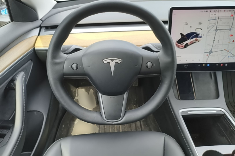 Tesla Model 3 2021 #15 Tesla Model 3 2021 car image #15