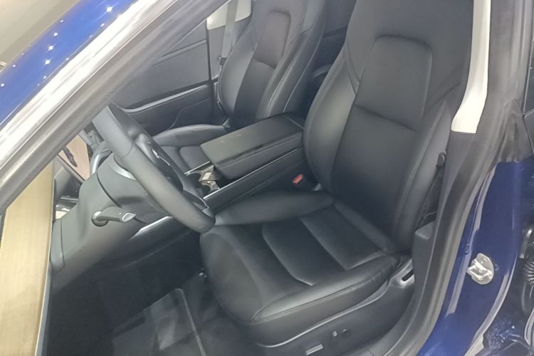 Tesla Model 3 2020 car image #15