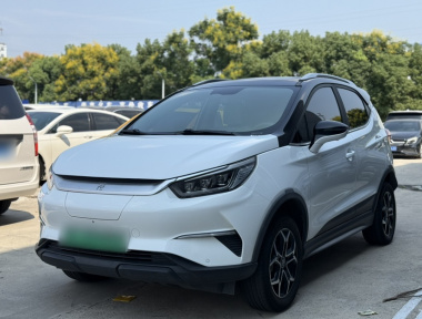 BYD Yuan Pro 2022 BYD Yuan Pro 2022 car image