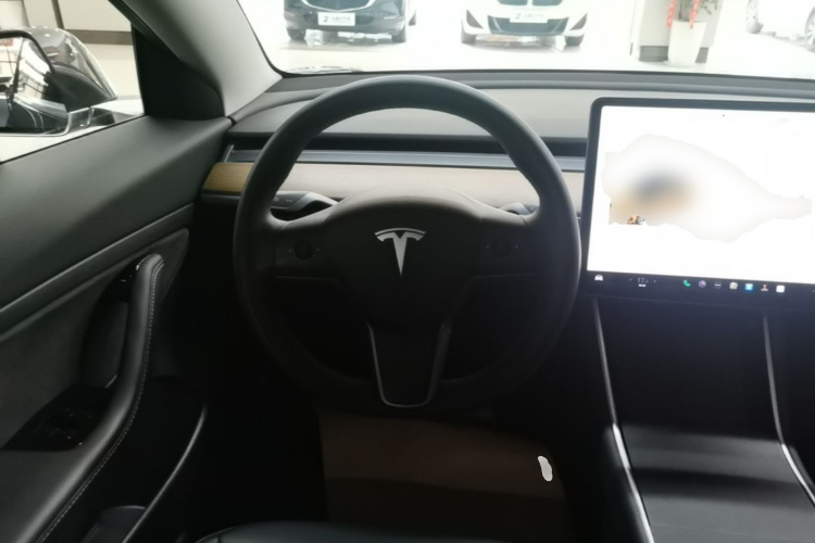 Tesla Model 3 2020 #15 Tesla Model 3 2020 car image #15