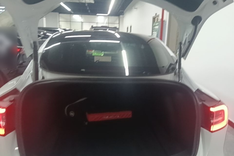 Tesla Model 3 2022 immagine di auto #19