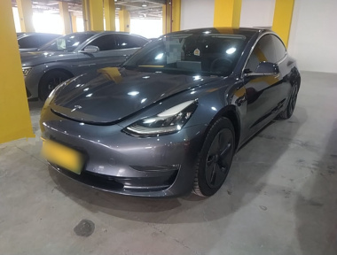 Tesla Model 3 2020 Tesla Model 3 2020 car image