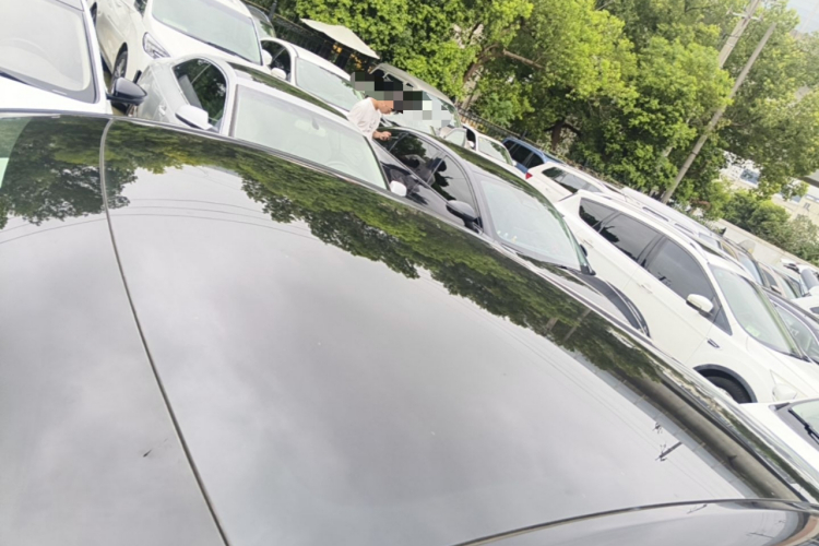 Tesla Model Y 2023 #25 Tesla Model Y 2023 car image #25