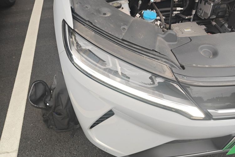 BYD YuanUP 2024 #8 BYD YuanUP 2024 immagine di auto #8
