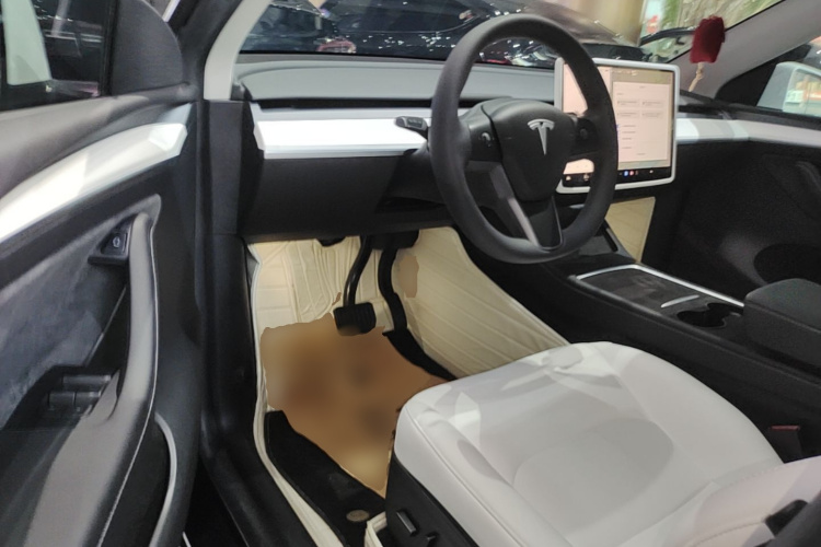 Tesla Model Y 2022 #16 Tesla Model Y 2022 car image #16