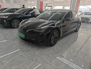 Tesla Model 3 2021 Tesla Model 3 2021 immagine di auto
