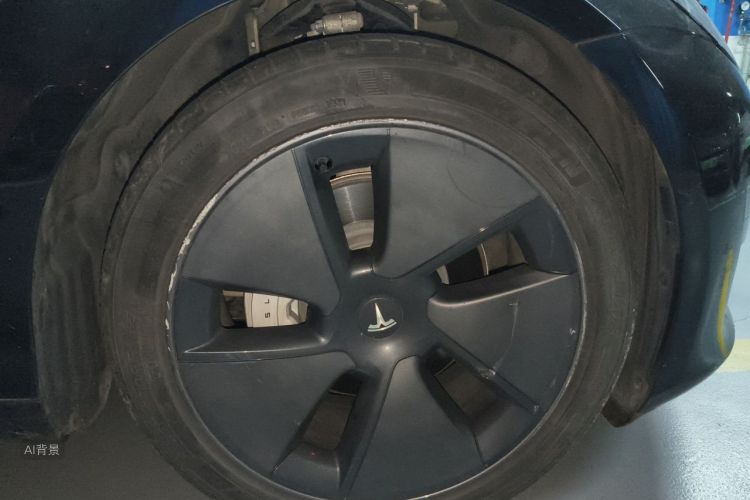 Tesla Model 3 2021 car image #9