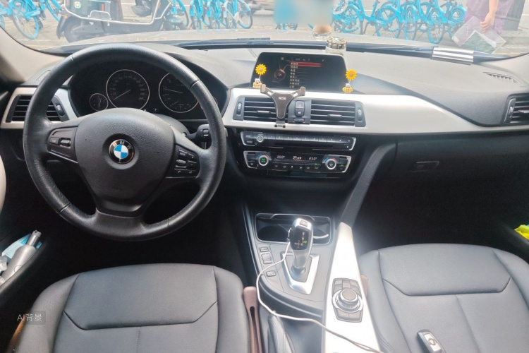 BMW 3 Series 2016 car image #11