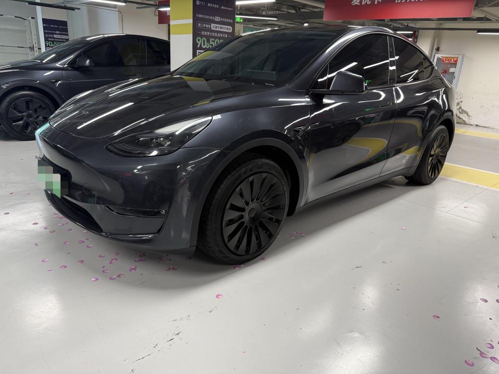 Tesla Model Y 2024 car image 