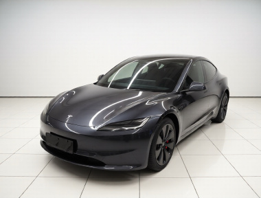 Tesla Model 3 2024 Tesla Model 3 2024 car image