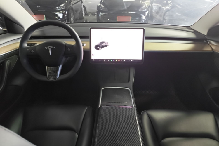 Tesla Model 3 2021 #10 Tesla Model 3 2021 immagine di auto #10