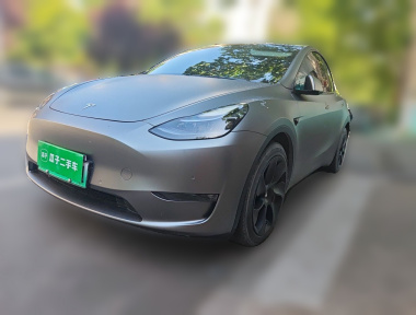 Tesla Model Y 2021 Tesla Model Y 2021 car image