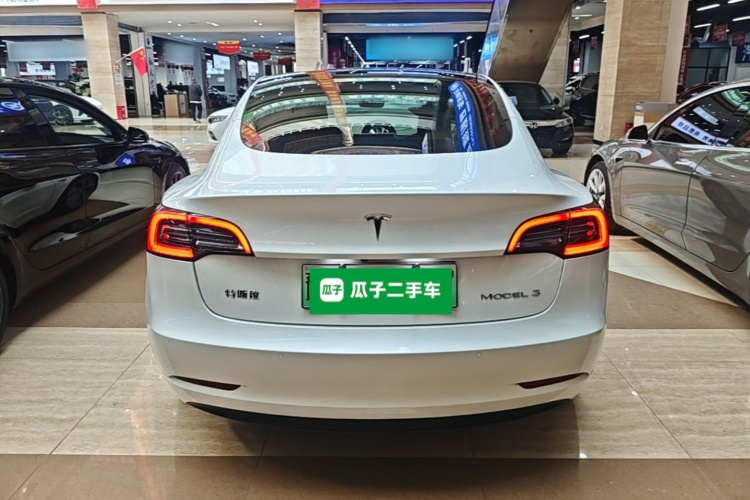 Tesla Model 3 2023 car image #6