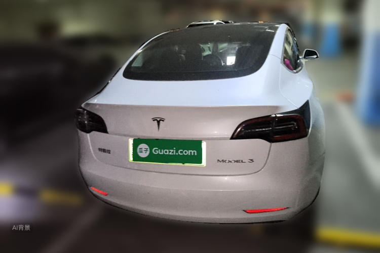 Tesla Model 3 2020 car image #6