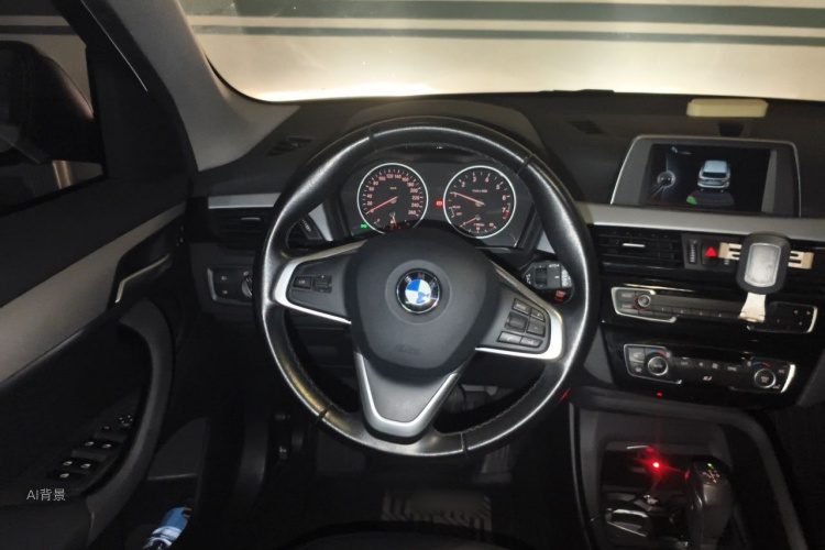 BMW X1 2017 car image #12