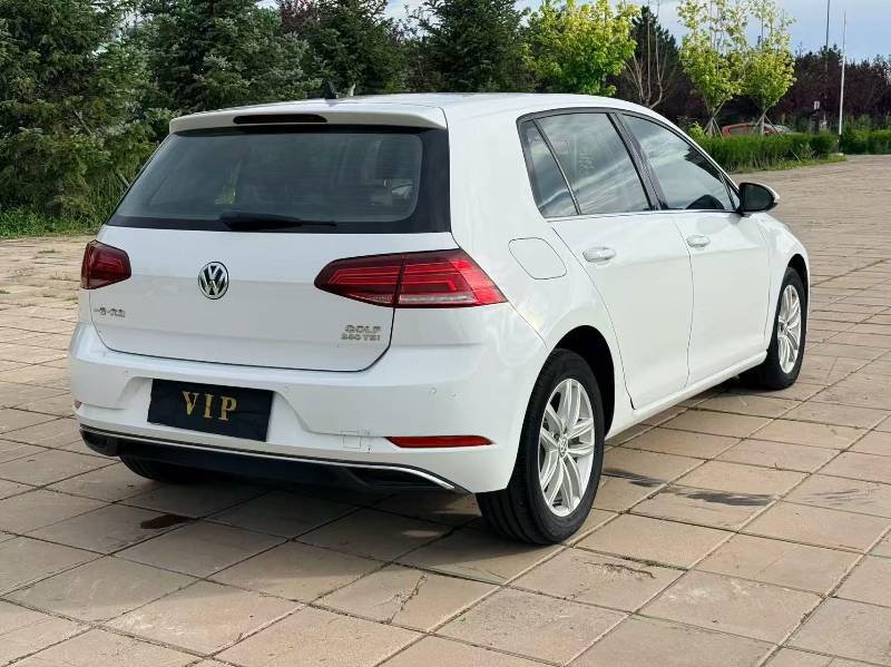 Volkswagen Golf 2019 #7 Volkswagen Golf 2019 car image #7