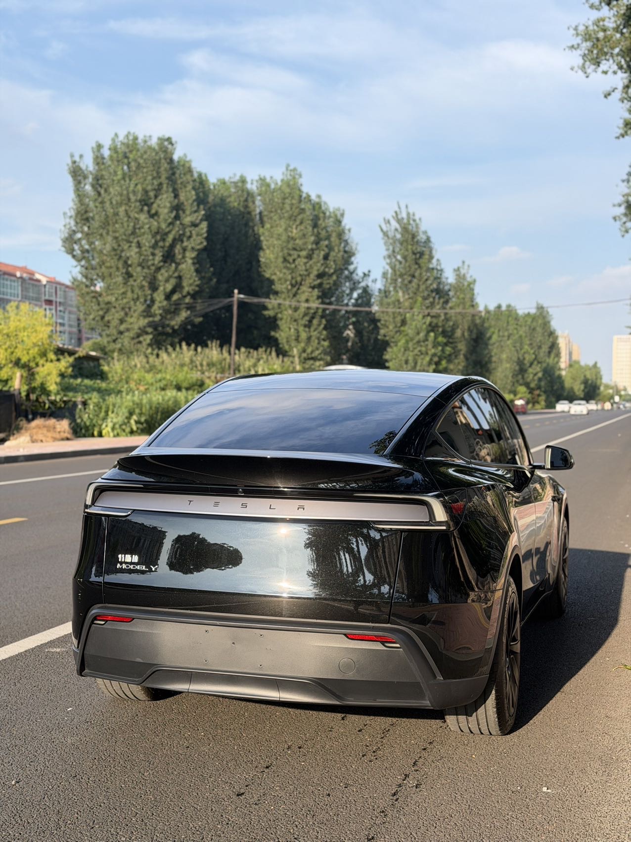 Tesla Model Y 2025 #3 Tesla Model Y 2025 car image #3