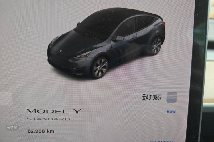 Tesla Model Y 2021 #10 Tesla Model Y 2021 صورة سيارة #10